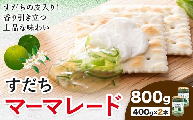 y߉͓zW  }[}[h 400g × 2 JAs_YHs30ȓɏoח\(yj)t ߉͓ }[}[h k W  X_` XC[c fU[g Z Y H g[Xg  َq---sanagouchi_jat_26_800g---