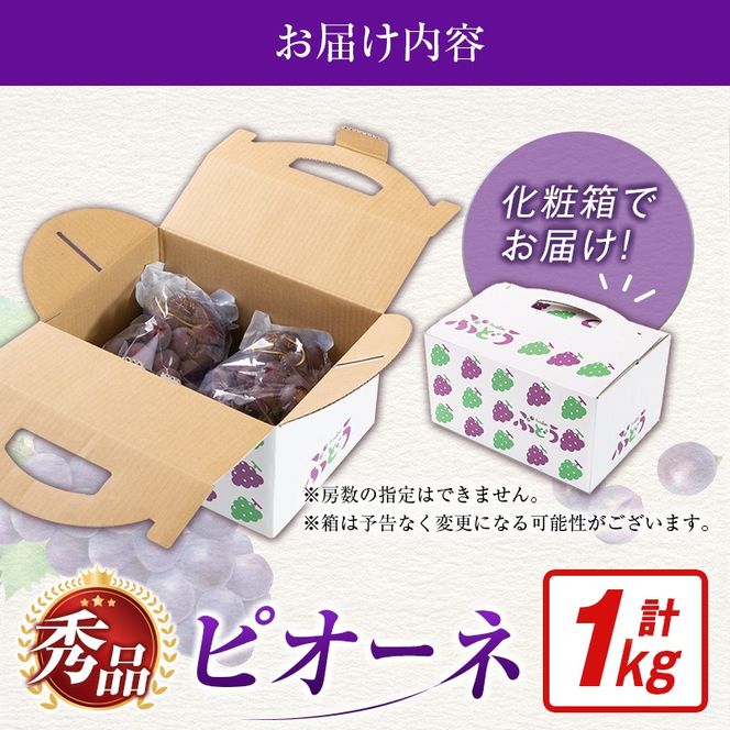 【令和8年発送 先行予約】小林市産 ピオーネ 1kg（ぶどう ブドウ ピオーネ フルーツ 果物 くだもの 先行受付 限定）【令和8年発送 先行予約】小林市産 ピオーネ 2kg（ぶどう ブドウ ピオーネ フルーツ 果物 くだもの 先行受付 限定）