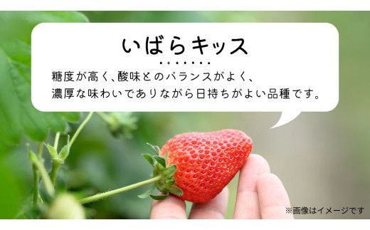 【 先行予約 】 【 定期コース 】 厳選 いちご 4パック 【 毎月 第4木曜に全3回発送 初回発送 2027年1月28日 】 （常陸太田市 共通返礼品 ) 約260g×4パック いばらキッス ひたち姫 やよいひめ から 厳選して お届け 定期便 いちご 数量限定 果物 くだもの フルーツ 苺 イチゴ 数量限定