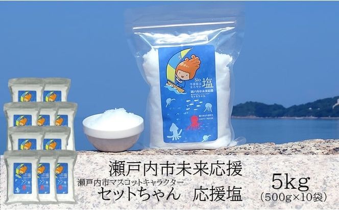 セットちゃん 応援塩 5kg(500g×10袋) 塩 フレーク塩 粗塩 調味料 岡山 瀬戸内市 [№5735-3374]