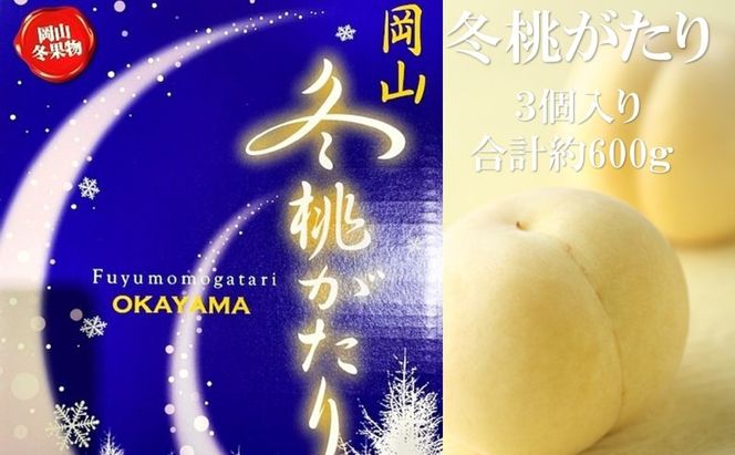 桃 【2026年 早期受付】 冬桃がたり 3個入り 合計約600g もも 岡山県産 国産 フルーツ 果物 ギフト[№5735-2090]