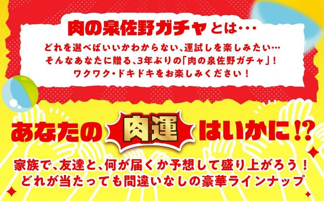 gacha014 【9/30受付終了】肉の泉佐野 ガチャ（寄附10,000円コース）【牛肉 焼肉 牛タン ハラミ カルビ BBQ ハンバーグ お楽しみ】