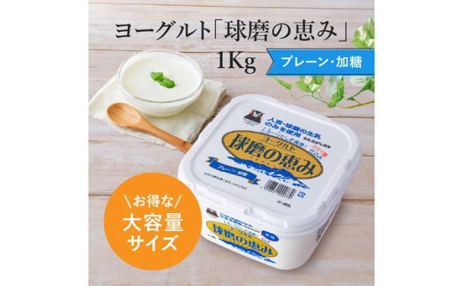 ヨーグルト もっちり、とろ～りの2つに食感！　球磨の恵みヨーグルト ( 加糖タイプ ) 3kg 【配送不可：沖縄県、離島】