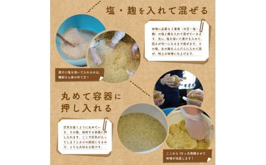 自家製天然醸造無添加みそセット（風呂敷包み） 味噌 食べ比べ２種類 青大豆 水煮 きな粉