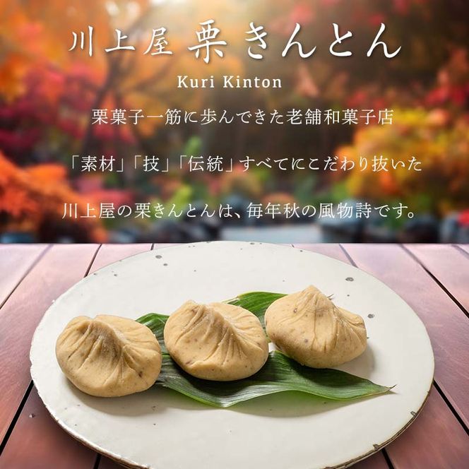 【11月お届け】 御菓子所 川上屋 栗きんとん （秋季限定）20個入り F4N-1702