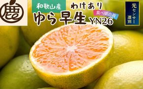 【先行予約】家庭用有田みかん サイズ混合(2S～2L) 10kg+250g  ※10月より発送(極早生) ※北海道・沖縄・離島への配送不可 / みかん 果物 フルーツ ミカン 和歌山 柑橘 早生みかん 有田みかん 有田【ikd211A】