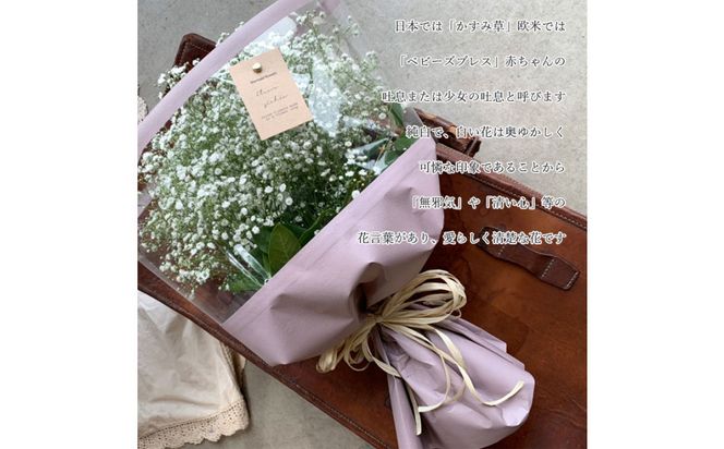 【母の日】サプライズ超BIGサイズ かすみ草ブーケ＜お届け日：2026年5/4～5/10 当店おまかせ ＞母の日カード付き【 母の日 ギフト かすみ草 花 贈り物 大阪府 門真市 】 272230_BG123