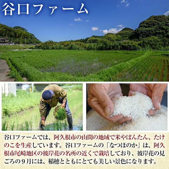 鹿児島県産のお米 なつほのか(計10kg・5kg×2袋) 国産 白米 自社精米 ご飯 おこめ おにぎり お弁当 【谷口ファーム】akn064-20