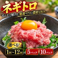 まぐろのネギトロ 5パック 10パック 700g 350g 70g×5パック 70g×10パック 選べる 定期便 1回 2回 3回 4回 6回 12回 ねぎとろ どんぶり マグロ丼 ネギトロ丼 海鮮丼 手巻き寿司 鮪丼 鮪 マグロ まぐろたたき 一人暮らし 大家族 小分け パック 上質 上品 赤身 新鮮 本物 贈り物 自宅用 海鮮 魚介 お歳暮 便利 カネアリ水産 安芸市 高知県