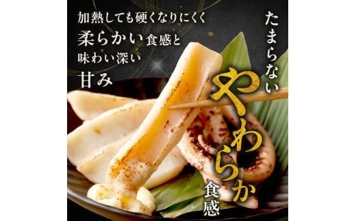 《14営業日以内に発送》北海道産カットいか一夜干し ソフトタイプ ( イカ 烏賊 干物 柔らかい 炙り フライ 揚げ物 煮付 北海道 一夜干し いか )【035-0003】