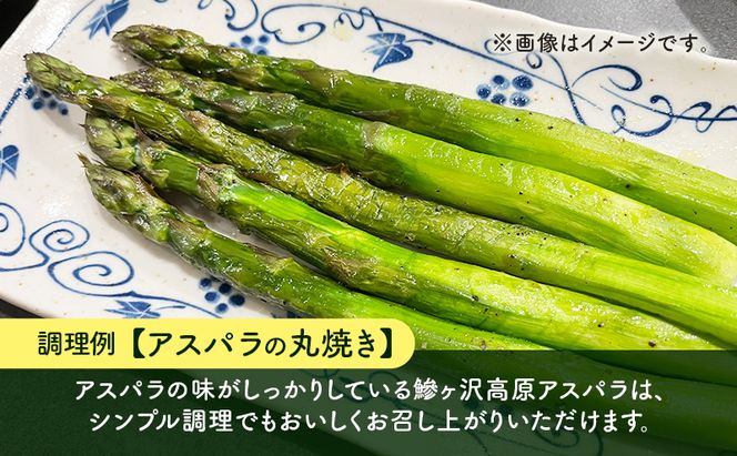 先行予約 2026年 夏アスパラガス 約1.2kg ＋100g M～L 混合 古川農園 ※オンライン決済限定 野菜 アスパラガス アスパラ 栄養豊富 ほんのり甘い 肉質しっかり あっさり おつまみ 料理 