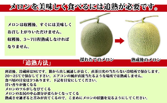 【2026年夏発送】北海道 富良野メロン 2Lサイズ 2玉 計3kg以上 メロン フルーツ 果物
