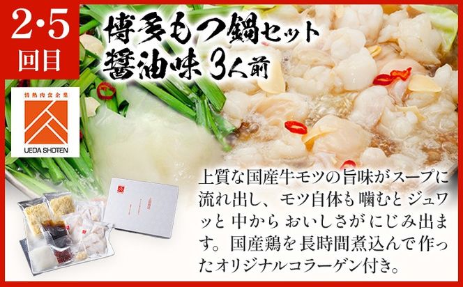 「上田商店」おすすめ定期便 【隔月定期便（年6回発送）】 水炊き もつ鍋 モツ鍋 セット ありた鶏 ぶつ切り ぶつ切 醤油 しょうゆ 味噌 みそ ちゃんぽん 博多 専門店 2人前 3人前 福岡県 福岡 九州 グルメ お取り寄せ