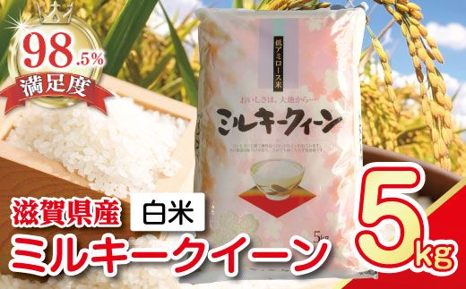 【7年産】近江米ミルキークイーン【5kg×1袋】【T029W3】