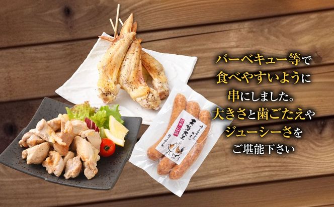 天草大王プレミアムバーべキューセット（大） 計6パック 天草大王 焼鳥 手羽先 串 ウインナー コロコロカット