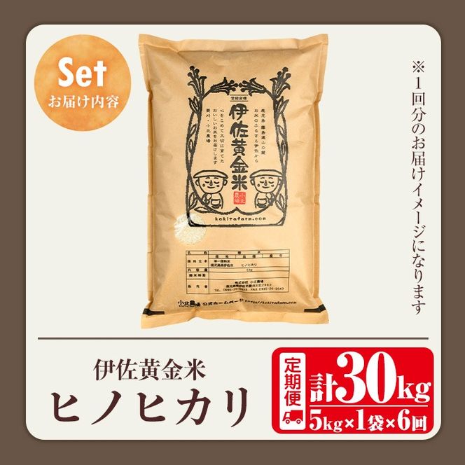 isa602 《数量限定・6回定期便》令和7年産 小北農場の新米 伊佐黄金米〈ヒノヒカリ〉(計30kg・5kg×1袋×6回) 鹿児島 伊佐 新米 お米 特別栽培米 伊佐米 白米 ヒノヒカリ ひのひかり おにぎり ごはん 【小北農場】