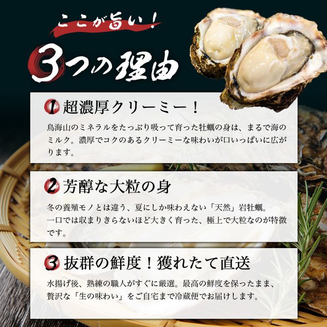 《ナイフ付》 生食用 殻付き 象潟産 天然 岩牡蠣 10個 約3kg 300～400g/個 直径10cm 岩ガキ 冷蔵 濃厚 プリプリ 新鮮 殻剥きナイフ付 贈り物 ギフト お取り寄せ 国産 日本海 産地直送 秋田県 にかほ市 マルイチ水産 送料無料