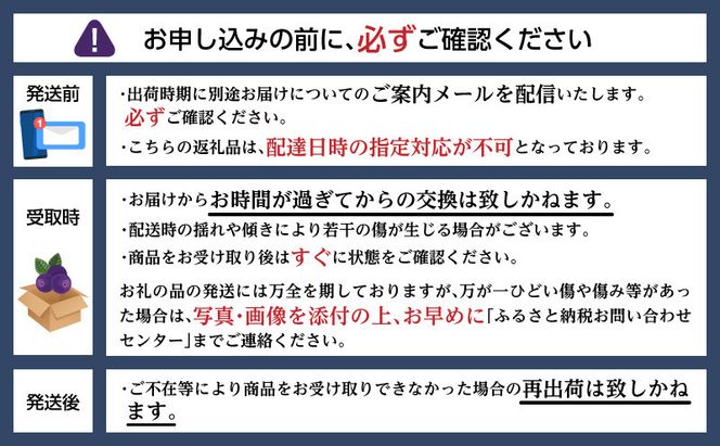 北海道 洞爺湖町産 フレッシュ ブルーベリー 500g 2パック 計1kg 7月20日から順次お届け 先行予約 北海道産 ブルーベリー 果物 果実 フルーツ 新鮮 国産 ベリー 農作物 お取り寄せ 冷凍 長期 保存 洞爺湖町