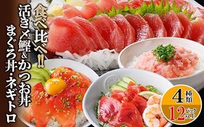 枕崎ぶえん鰹800g & 漬け丼3種9袋(かつお・まぐろ・ネギトロ) A6-140【1166317】