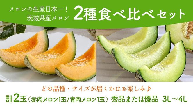【6月上旬頃より発送】茨城県産 青肉・赤肉メロンセット 秀品または優品 3Lまたは4Lサイズ×各1玉入 おすすめ JA全農いばらき JA メロン めろん フルーツ くだもの 果物 国産旬 定番 旬 期間限定 青肉 赤肉 食べ比べ アンデス クインシー エルソル