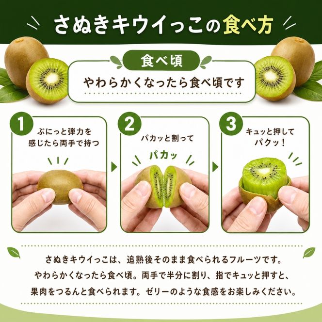 小豆島さぬきキウイっこ 約2kg  果物 旬 果物類 フルーツ 果物詰合せ 