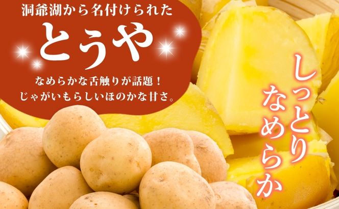 R8年産 先行受付 じゃがいも とうや 5kg 2026年9月下旬より順次出荷 ホクホク 甘い ポテトサラダ コロッケ 産地直送 お取り寄せ 国産 小野寺農園 北海道 洞爺湖町