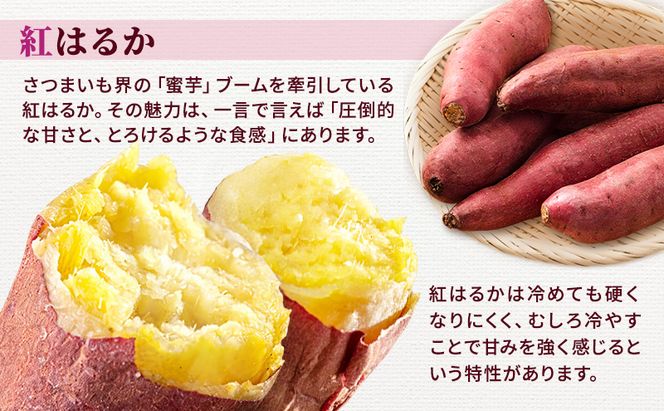 さつまいも 約5kg 紅はるか 加工用 大きいサイズ サツマイモ 宮城県産 甘い 秋 冬 スイーツ いも 産地直送 宮城県 大河原町