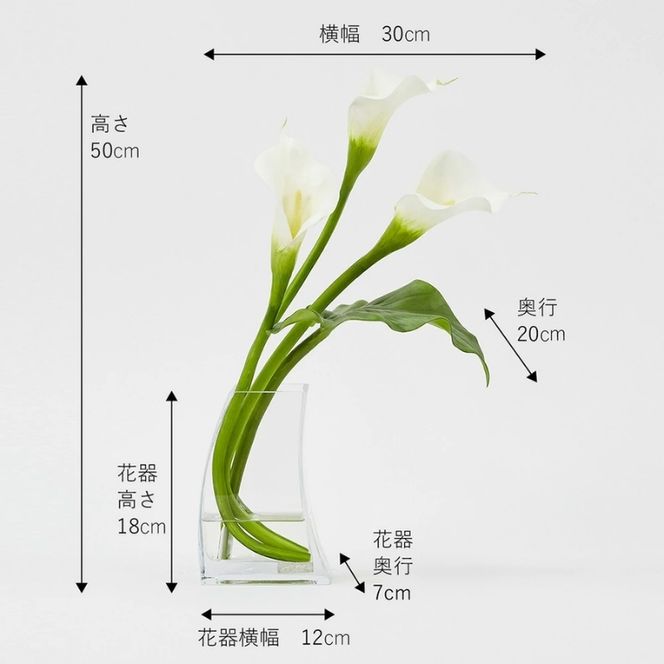 アートフラワー エミリオ・ロバ カラー2L TTNTS41200