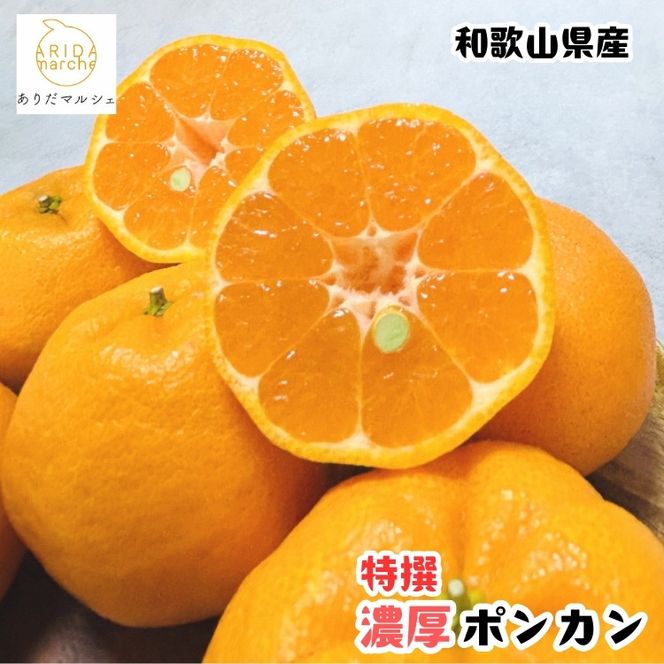 ［先行予約］極甘 柑橘 特選 濃厚 ポンカン 3kg［MS49］ 303446_XD90200