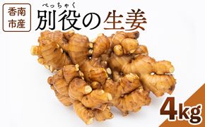 生姜 4kg 香南市産 別役の生姜 - しょうが ショウガ ジンジャー 薬味 調味料 国産 株式会社べっちゃく 高知県 香南市 bc-0026