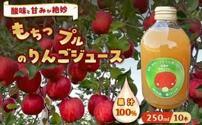 もちっプルのりんごジュース 果汁100% 250ml×10本りんごジュース ジュース 飲料 100%果汁 サンふじ 山ノ内町 もっちーの畑