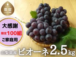 【2025年先行予約】山梨県産 種なしピオーネ　2.5kg 訳ありご家庭用 CL035