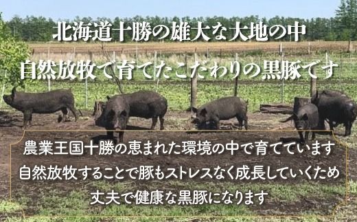 【定期12ヶ月】鹿追産 自然放牧黒豚無添加生ソーセージセット SKN043