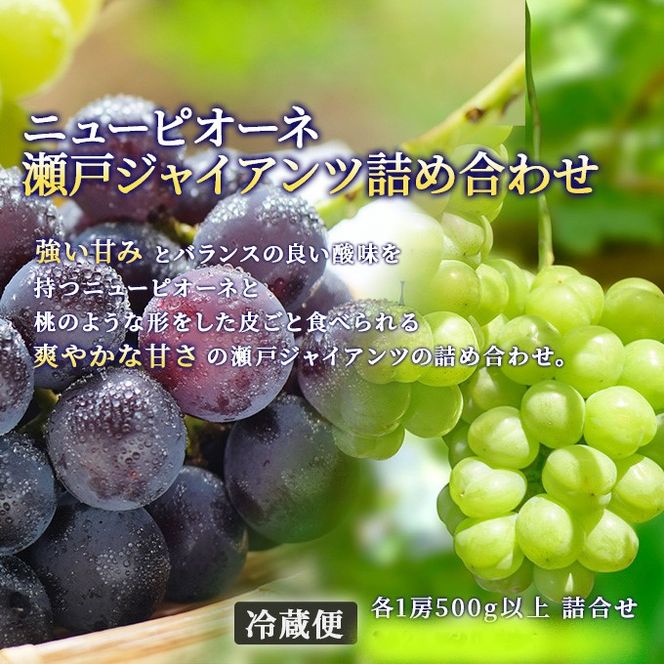 フルーツ 定期便 2026年 先行予約 フルーツ王国 岡山の果物 5回コース 夏～冬物語  桃 もも 葡萄 ぶどう 梨 なし岡山県産 国産 果物 セット ギフト ニューピオーネ シャインマスカット あたご梨 