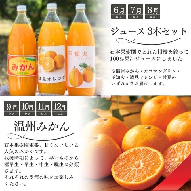 みかん 【全12回】 柑橘 定期便 石本果樹園 店主おすすめの柑橘セットを毎月お届け！ / フルーツ 果物 くだもの 柑橘 フルーツ定期便 くだもの定期便 定期便 フルーツセット くだものセット みかん ミカン 温州みかん 不知火 せとか セミノール ポンカン カラマンダリン 甘夏 清見 オレンジ ジュース みかんジュース 果実飲料 産地直送 旬 人気 おすすめ 詰め合わせ お楽しみ 三重県 紀宝町 【tkb507】