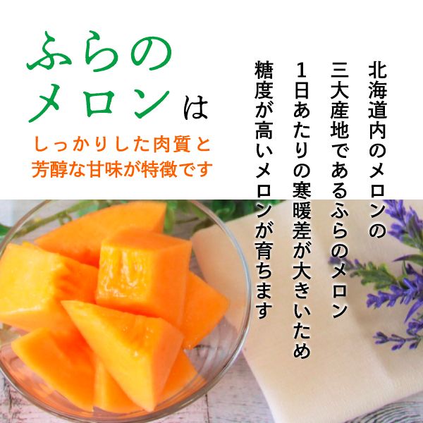 2026年夏発送 JAふらの厳選！ふらの赤肉メロン 1.6kg×2玉  メロン めろん 富良野メロン 果物 くだもの フルーツ 富良野 デザート 北海道 贈り物 ギフト 果物類 メロン赤肉 