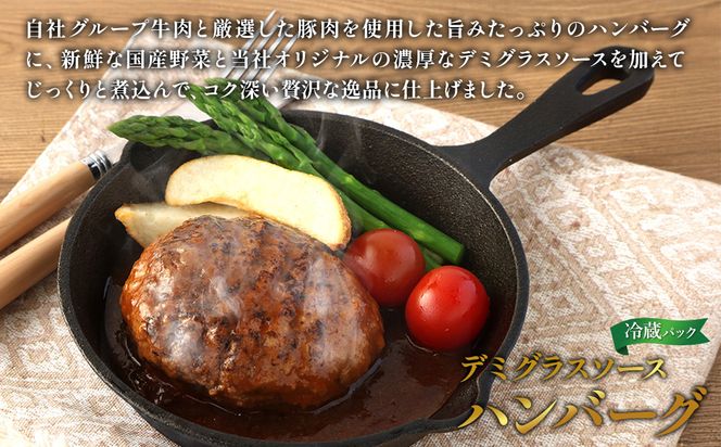 ハンバーグ セット 冷蔵(200g × 6パック 計 1,200g) ギフト レンジ 湯煎 温めるだけ 簡単調理 小分け 個包装 総菜 簡単 おかず レトルト 人気 お取り寄せ 九州 宮崎県 えびの市 送料無料