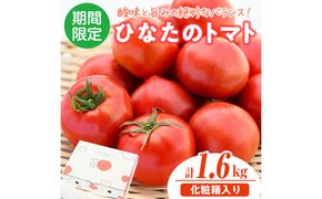 ＜先行予約受付中！2026年2月から5月の間に発送予定＞門川ひなたのトマト(800g×2箱) 高糖度 トマト フルーツトマト 野菜 旬野菜 冷蔵 門川町産 宮崎県 門川町 【宮崎県農業協同組合日向地区本部(門川選果場)】【TM-02】