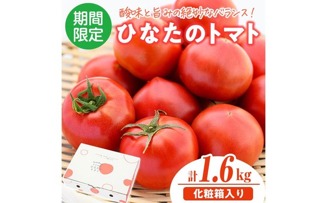 ＜先行予約受付中！2026年2月から5月の間に発送予定＞門川ひなたのトマト(800g×2箱) 高糖度 トマト フルーツトマト 野菜 旬野菜 冷蔵 門川町産 宮崎県 門川町 【宮崎県農業協同組合日向地区本部(門川選果場)】【TM-02】