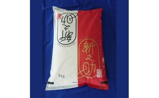 【令和7年産米】新潟県村上市 新之助5kg　1033005