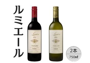 ルミエール　イストワール赤白2本セット 167-130