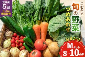 AJ434 【5回定期便】【1～5月限定出荷】こむたの旬の野菜 (8～10品目) おまかせMセット [ 野菜 やさい 旬 定期便 野菜セット 種類 人気 オススメ 新鮮 詰め合わせ 詰合せ こむた 小無田 青果 長崎県 島原市 ]