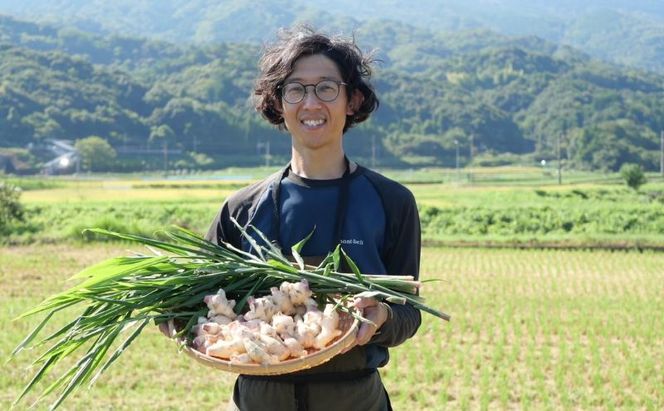 【先行予約】 新生姜 3kg 生姜 しょうが ショウガ 野菜 薬味 スパイス 辛味 大生姜 さわやか 宮津市 京都府