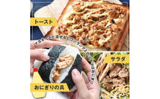 鰹ツナパウチ 100g×5袋セット 100グラム 国産 おにぎり つなまよ ツナマヨ ご飯 お弁当 魚 パスタ サラダ たんぱく質 タンパク質 おやつ かつお【企業組合　宇佐もん工房】 [BQAB064]