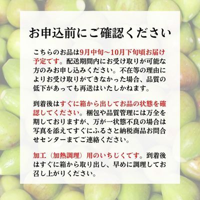 期間限定 加工用 生いちじく 6kg（2kg×3) 秋田県にかほ市産 北限のいちじく ブルンスウィッグ