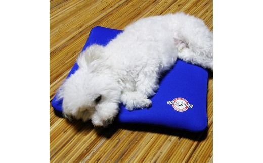 クロッツ わんちゃんパワークールM_2607R