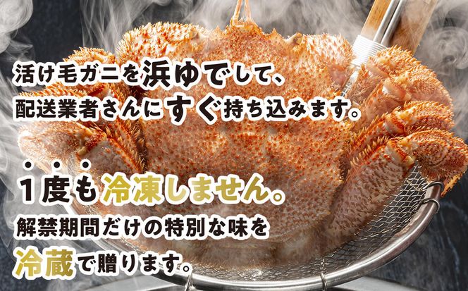 ＜ 2027年2月上旬より発送開始 ＞ 【 定期便 全 3回 】 北海道産 浜ゆで 毛ガニ 3尾 × 3回 （ 計 9尾 ） 毛蟹 毛がに かに味噌 カニ味噌 新鮮 旬 ボイル 浜茹で 海鮮 海産物  ＜ 予約受付 ＞