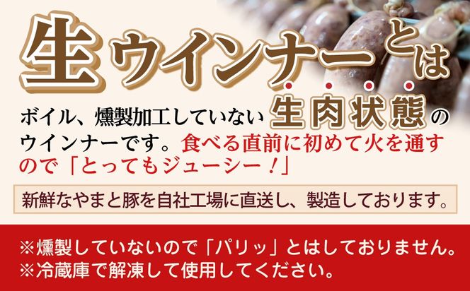 やまと豚 冷凍 生ウインナー プレーン 4袋入り (各5本入り × 4袋) 無添加 ソーセージ ウインナー ギフト プチギフト 肉 冷凍食品 贈答 プレゼント 10000円 1万円 福島県 田村市 ハム工房都路