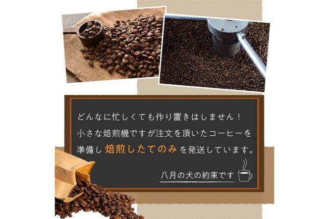 【アイスコーヒー用】自家焙煎アイスコーヒー用ブレンドコーヒー豆 500g（250g×2） 八月の犬ハウスブレンド 約50杯分　小分け　豆・粉 選べる　HA00014