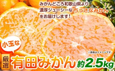 [先行予約]厳選 小玉な有田みかん2.5kg+75g(傷み補償分)[光センサー選果] 池田鹿蔵農園@日高町(池田農園株式会社)[11月上旬-12月末頃出荷]和歌山県 日高町[配送不可地域あり]---wsh_idn50_11j12m_24_7000_2500g---